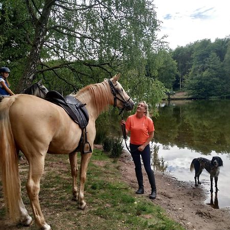 L'Echappee Verte - Gite Equestre 5 Pers Soucht Bagian luar foto