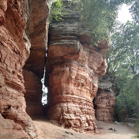 L'Echappee Verte - Gite Equestre 5 Pers Soucht Bagian luar foto