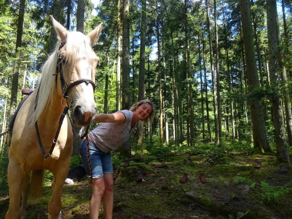 L'Echappee Verte - Gite Equestre 5 Pers Soucht Bagian luar foto