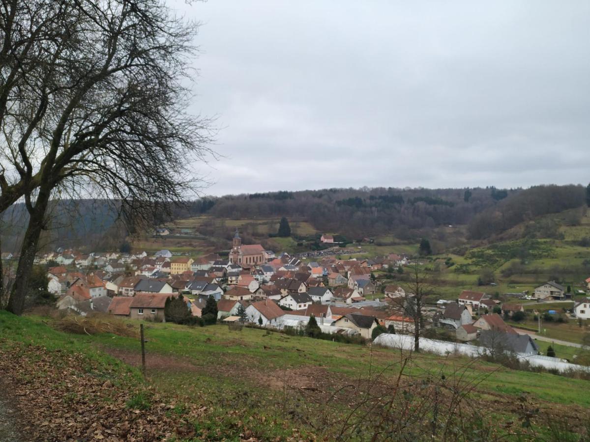 L'Echappee Verte - Gite Equestre 5 Pers Soucht Bagian luar foto