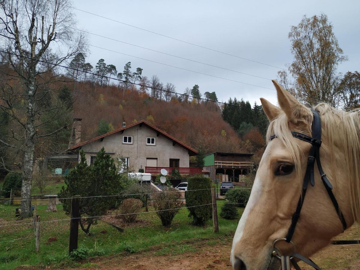 L'Echappee Verte - Gite Equestre 5 Pers Soucht Bagian luar foto