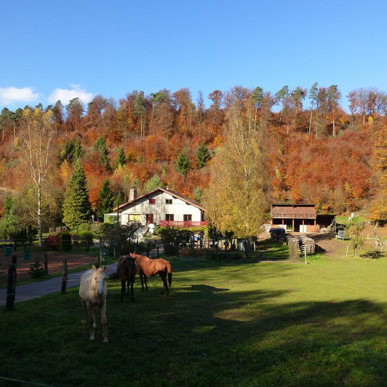 L'Echappee Verte - Gite Equestre 5 Pers Soucht Ruang foto