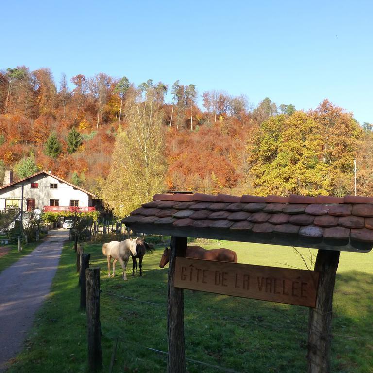 L'Echappee Verte - Gite Equestre 5 Pers Soucht Ruang foto