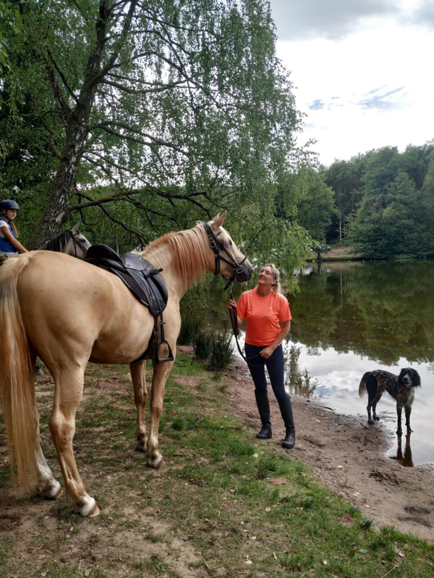 L'Echappee Verte - Gite Equestre 5 Pers Soucht Bagian luar foto