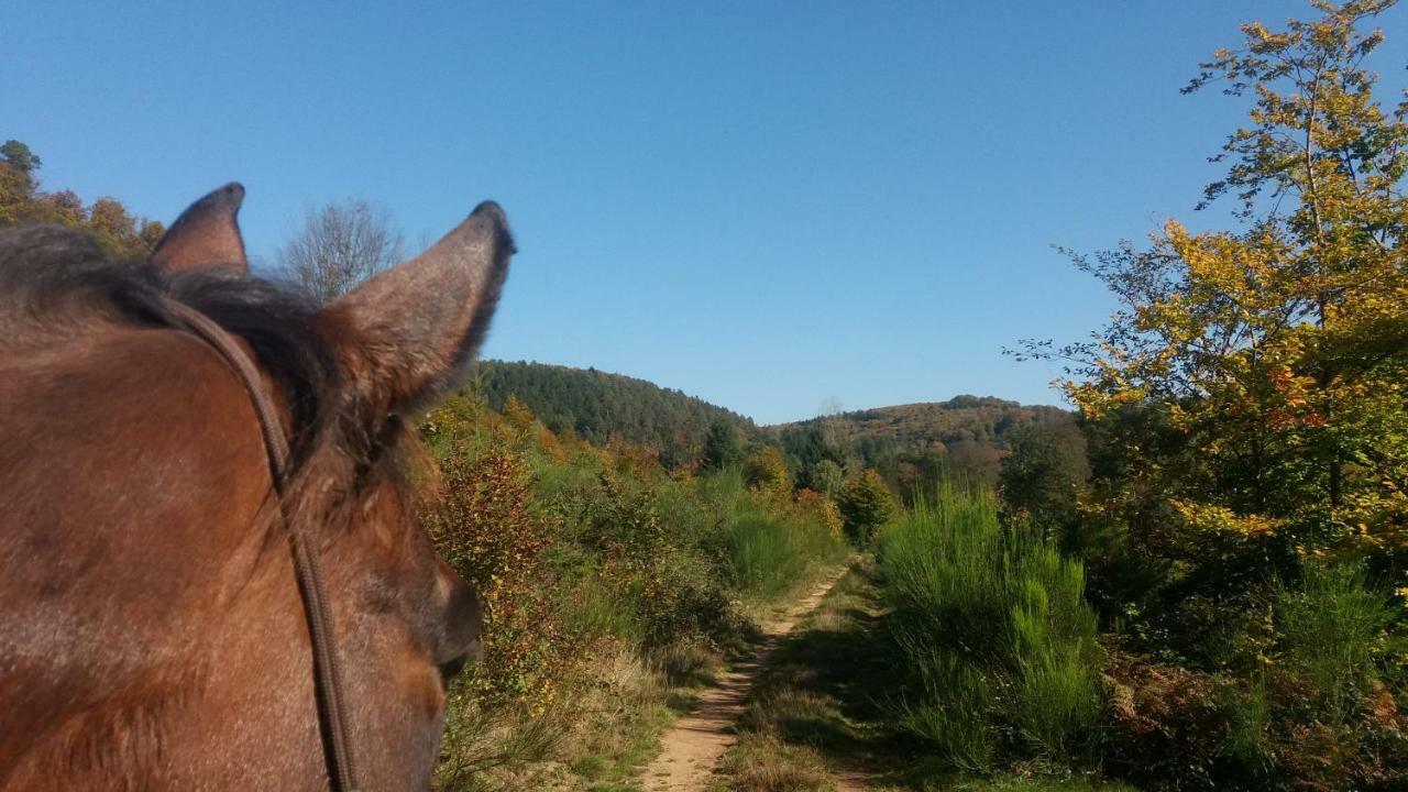 L'Echappee Verte - Gite Equestre 5 Pers Soucht Bagian luar foto