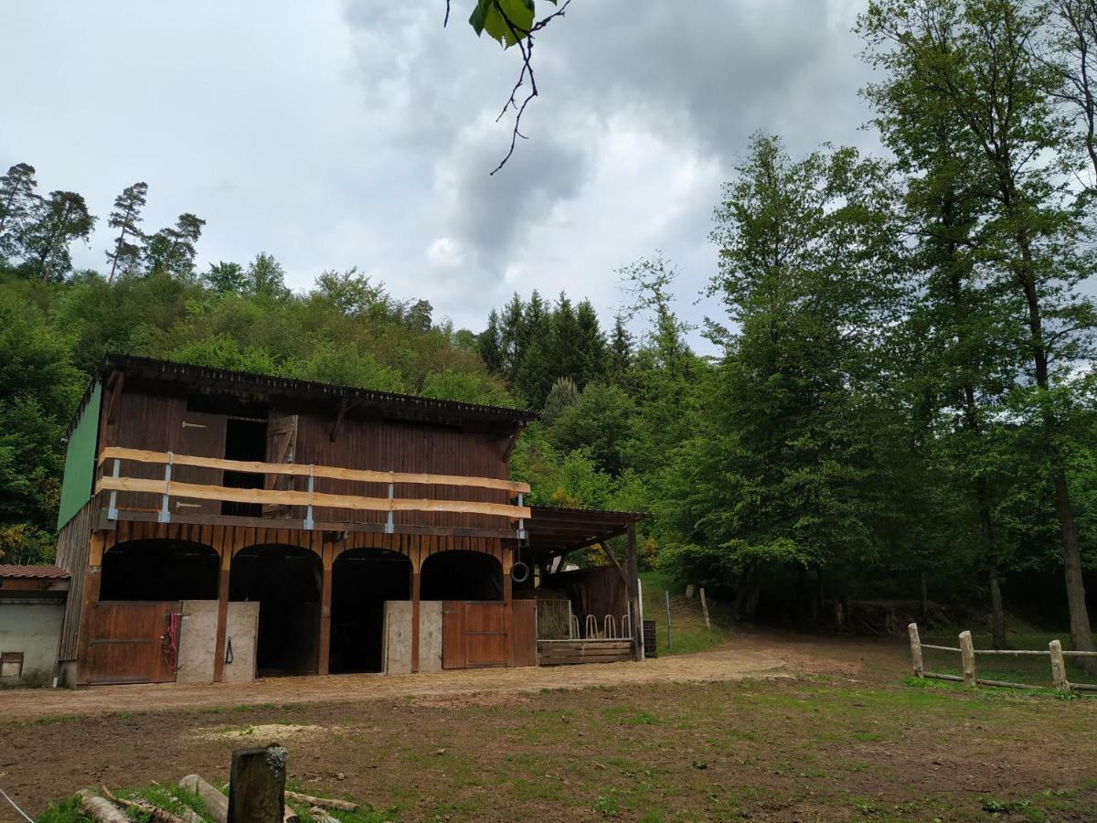 L'Echappee Verte - Gite Equestre 5 Pers Soucht Bagian luar foto